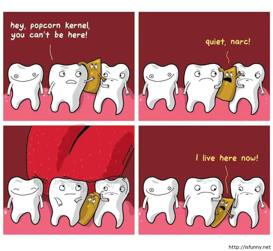 Wisdom teeth Puns