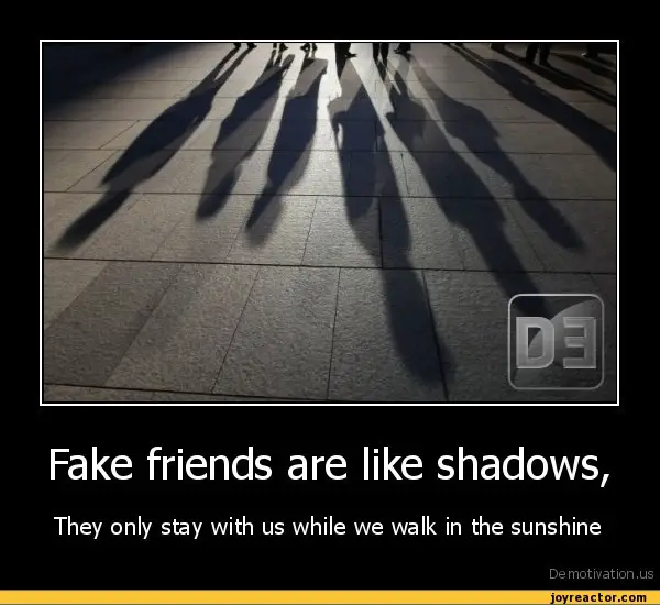 Friendship be like. Fake Shadow. Friends be like. False friends.