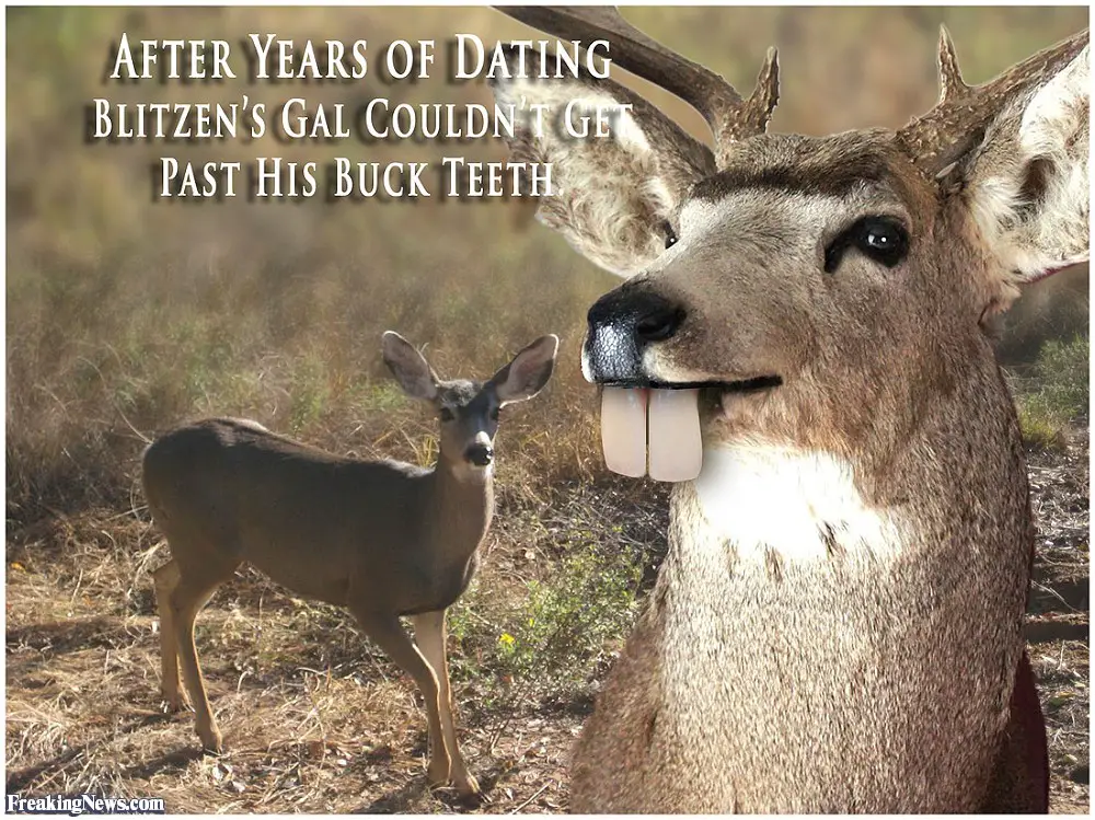 Related, funny deer jokes for funny deer hunting. 