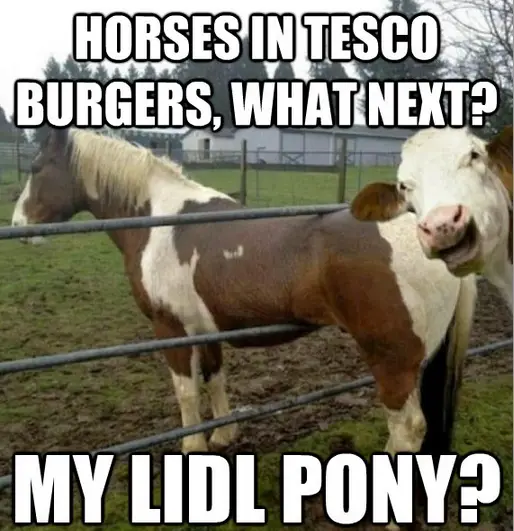 2013 Horse Meat Scandal Know Your Meme