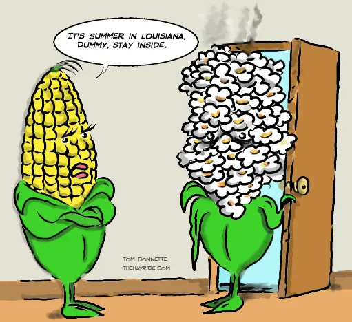 Die next summer no joke. Funny Corn. Summer jokes. The joke. Corn Digested funny pictures.