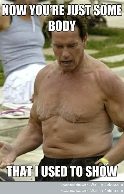 Arnold Schwarzenegger Puns