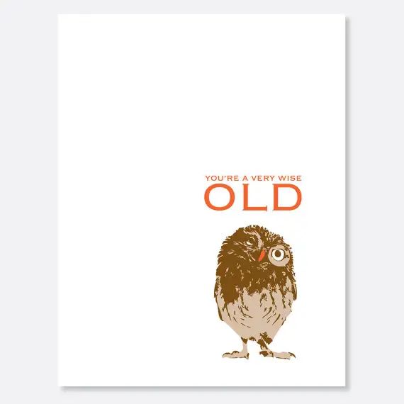 Owl birthday. 