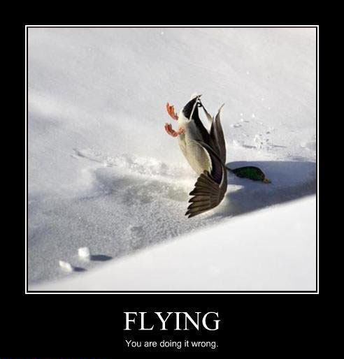 Flying Puns