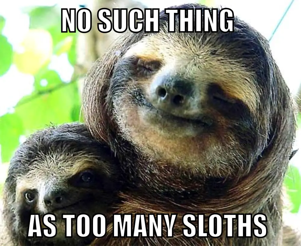Pin Dirty Sloth Jokes Tumblr on Pinterest. 