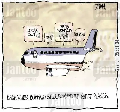 Airplane Puns
