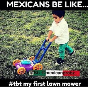 Mexicans Doing Yard Work Everywhere Toy Story Everywhere Meme