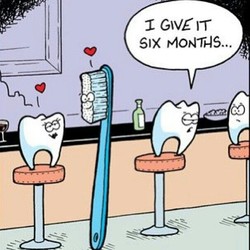 toothbrush puns dental quotesgram humor quotes coolpun